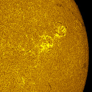 <font class="tempImageTitleThumbText">AR4513 -AR4517, Full Disk In H-alpha</font><br>mfborman@yahoo.com<br>Aug 28 9:19pm<br>Evansville, Indiana, USA