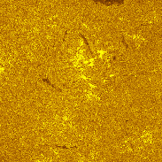 <font class="tempImageTitleThumbText">AR4521-4527, Prominences</font><br>mfborman@yahoo.com<br>Sep 5 8:33pm<br>Evansville, Indiana, USA