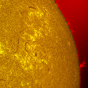 <font class="tempImageTitleThumbText">AR4527, AR4528, Full Disk, H-alpha</font><br>mfborman@yahoo.com<br>Sep 13 9:04pm<br>Evansville, Indiana, USA