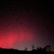 <font class="tempImageTitleThumbText">Auroras</font><br>Nathan Uldrick<br>Nov 12 4:04am<br>Donalds, South Carolina 