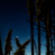 <font class="tempImageTitleThumbText">Jupiter Venus Conjunction </font><br>Nedret Gurler<br>Nov 26 1:19am<br>Santa Fe, NM USA