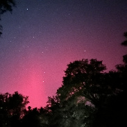 <font class="tempImageTitleThumbText">Aurora</font><br>Neil Miller<br>Nov 12 5:12am<br>Aiken, South Carolina