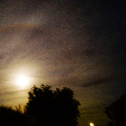 <font class="tempImageTitleThumbText">Lunar Halo</font><br>Neil Morrison<br>Sep 26 11:51pm<br> Crawley Sussex U.K.
