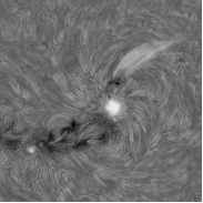 <font class="tempImageTitleThumbText">Surge Prominences At AR4507</font><br>Neo<br>Aug 19 3:50pm<br>the Netherlands
