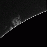 <font class="tempImageTitleThumbText">Beautiful Quiescent Prominences</font><br>Neo<br>Jun 23 11:12am<br>the Netherlands