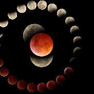<font class="tempImageTitleThumbText">Lunar Eclipse</font><br>Newton Cesar Florencio<br>Jan 27 1:10am<br>Londrina - PR