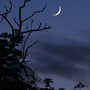 <font class="tempImageTitleThumbText">Crescent Moon And Venus</font><br>Nigel Wood<br>Jun 18 9:40am<br>Langar, Notts, U.K.