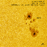 <font class="tempImageTitleThumbText">Sun, Sunspots</font><br>Niki Giada<br>Jul 1 5:47pm<br>Italy, Pesaro
