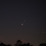 <font class="tempImageTitleThumbText">Venus And Mars Conjunction </font><br>Nikola Stoyanovitch<br>Feb 19 4:39pm<br>Bank of the Kelani river, near 