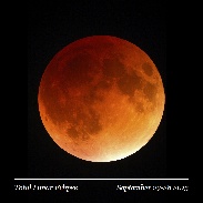 <font class="tempImageTitleThumbText">Total Lunar Eclipse 2015 September 27-28</font><br>Nikolay Nikolov<br>Feb 12 10:04am<br>Exeter, UK