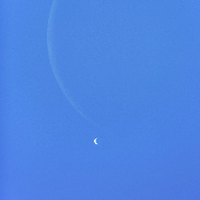<font class="tempImageTitleThumbText">Close Encounter Between Venus And The Moo</font><br>Nikoletta Szakály<br>Jun 19 8:27pm<br>Gencsapáti, Hungary