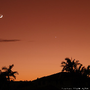 <font class="tempImageTitleThumbText">~ Moon & Venus ~</font><br>Noeleen Lowndes<br>Jul 26 7:37am<br>Gold Coast Qld Australia