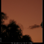 <font class="tempImageTitleThumbText">~ Venus & Jupiter ~</font><br>Noeleen Lowndes<br>Mar 4 2:53pm<br>Gold Coast Qld Australia