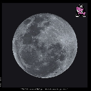 <font class="tempImageTitleThumbText">~ Full Moon ~</font><br>Noeleen Lowndes<br>Aug 31 8:02am<br>Gold Coast Qld Australia