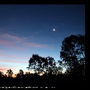 <font class="tempImageTitleThumbText">~ Crescent Moon & Venus ~</font><br>Noeleen Lowndes<br>Jun 17 7:36am<br>Leyburn Qld Australia