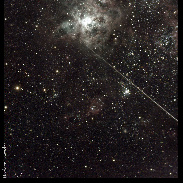 <font class="tempImageTitleThumbText">Satellite USA 32?</font><br>Noeleen Lowndes<br>Sep 18 7:46am<br>Leyburn Qld Australia