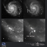 <font class="tempImageTitleThumbText">Supernova SN 2023ixf</font><br>Observatorio Astronómico Nacional de Colombia<br>Jun 10 9:32pm<br>Bogota, Colombioa