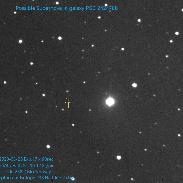<font class="tempImageTitleThumbText">Possible Supernova In Galaxy PGC/LEDA 242</font><br>Odd Trondal<br>Apr 11 12:35pm<br>Oslo