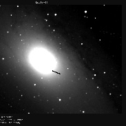 <font class="tempImageTitleThumbText">New Nova In M31, Brightening</font><br>Odd Trondal<br>Jan 30 6:30pm<br>Oslo