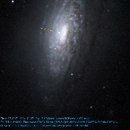 <font class="tempImageTitleThumbText">Supernova In Galaxy NGC 3521</font><br>Odd Trondal<br>Dec 29 9:45am<br>Oslo