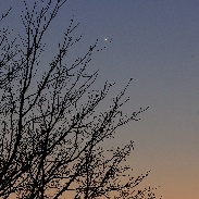 <font class="tempImageTitleThumbText">Venus, Mercury </font><br>Olivier Staiger<br>Jan 12 8:25pm<br>in Vétroz near Sion Switzerlan