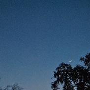 <font class="tempImageTitleThumbText">Venus & The Moon</font><br>Oscar Sifuentes<br>Dec 6 10:27am<br>Starting today Venus & the Moon