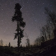 <font class="tempImageTitleThumbText">Geminids</font><br>P-M Hedén<br>Dec 13 10:40pm<br>Ålbo Sweden