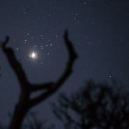 <font class="tempImageTitleThumbText">Venus & M45</font><br>P-M Hedén<br>Apr 4 11:16am<br>Vallentuna Sweden