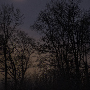 <font class="tempImageTitleThumbText">Moon And Venus</font><br>P-M Hedén<br>Jan 4 10:13am<br>Vallentuna Sweden