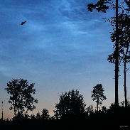 <font class="tempImageTitleThumbText">NLC With Strix Aluco</font><br>P-M Hedén<br>Jun 29 10:12am<br>Vallentuna Sweden