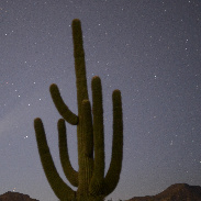 <font class="tempImageTitleThumbText">COMET NEOWISE</font><br>PAUL D. MALEY<br>Jul 17 4:37am<br>Carefree, Arizona USA