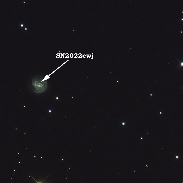 <font class="tempImageTitleThumbText">NGC3367 + Supernova SN2022ewj</font><br>PONSARD Pierre<br>Mar 29 1:20pm<br>La Fosse Observatory (Belgium)