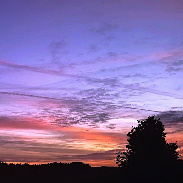 <font class="tempImageTitleThumbText">Vénus And Jupiter</font><br>Paillé<br>Jun 11 9:32am<br>France - Poitou Charentes.