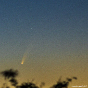 <font class="tempImageTitleThumbText">Comet C/2020 F3 NEOWISE</font><br>Paolo Bardelli<br>Jul 5 1:30pm<br>Sumirago (Varese), Italy