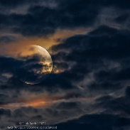 <font class="tempImageTitleThumbText">Lunar Eclipse</font><br>Paolo Bardelli<br>May 16 9:22pm<br>Sumirago (Varese), Italy