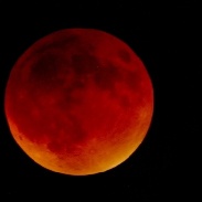 <font class="tempImageTitleThumbText">Lunar Eclipse</font><br>Paolo Corelli<br>Sep 29 10:15am<br>Pagnacco, Udine, Italy