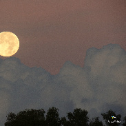 <font class="tempImageTitleThumbText">Moonset</font><br>Paolo Palma<br>Oct 29 1:36pm<br>Roma - Italy