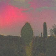 <font class="tempImageTitleThumbText">Auroras</font><br>Pat Goltz<br>Oct 11 3:03am<br>Saguaro National Park west of T