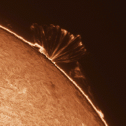 <font class="tempImageTitleThumbText">Sun In H-alpha</font><br>Pat P.<br>Aug 22 1:39am<br>Pittsburgh, PA USA