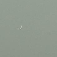 <font class="tempImageTitleThumbText">Thin Venus</font><br>Patricio Leon<br>Oct 20 9:30pm<br>Santiago, Chile