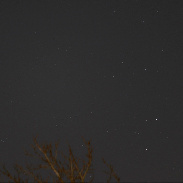 <font class="tempImageTitleThumbText">Nova Lupi</font><br>Patricio Leon<br>Jun 20 2:21am<br>Santiago, Chile