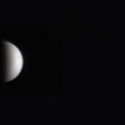 <font class="tempImageTitleThumbText">Venus</font><br>Patrick Bosschaerts<br>Jun 12 7:23am<br>Antwerp/Belgium