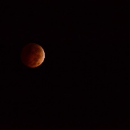 <font class="tempImageTitleThumbText">Lunar Eclipse</font><br>Patrick Heyn<br>Oct 9 2:20am<br>The sky was totally clear and a