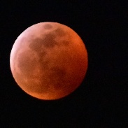 <font class="tempImageTitleThumbText">Lunar Eclipse</font><br>Patrick Heyn<br>Jan 23 12:12am<br>Madison, WI