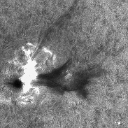 <font class="tempImageTitleThumbText">Solarflare M</font><br>Pepe Manteca<br>Jun 3 8:03am<br>Begues