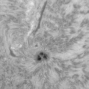<font class="tempImageTitleThumbText">SUN July 24,2026</font><br>Pepe Manteca<br>Jul 24 9:48am<br>Begues