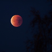 <font class="tempImageTitleThumbText">Lunar Eclipse</font><br>Per Johansson<br>Sep 28 5:37am<br>Skellefteå, Sweden