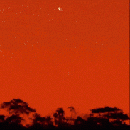 <font class="tempImageTitleThumbText">Full Venus Setting Behind Tree</font><br>Peter Lowenstein<br>Jul 17 10:01am<br>Mutare, Zimbabwe