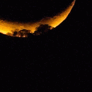 <font class="tempImageTitleThumbText">Crescent Moon & Venus Setting</font><br>Peter Lowenstein<br>Aug 15 10:19pm<br>Mutare, Zimbabwe