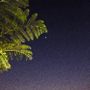 <font class="tempImageTitleThumbText">Moon, Jupiter, Spica & Venus</font><br>Peter Lowenstein<br>Aug 17 10:29pm<br>Mutare, Zimbabwe